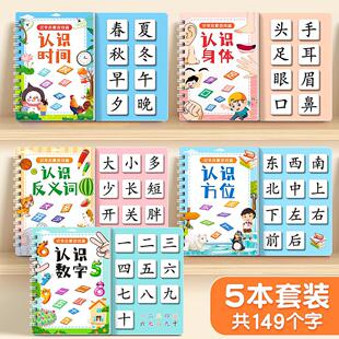 Literacy Book for Children to Recognize Words, Enlightenment Early Education, Quiet Book, Children's Literacy Cards, Full Set of Kindergarten Baby Cognitive Children
