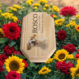 Cross-border explosions diy color printing photo pet urn cat dog cremation photo frame wooden funeral box