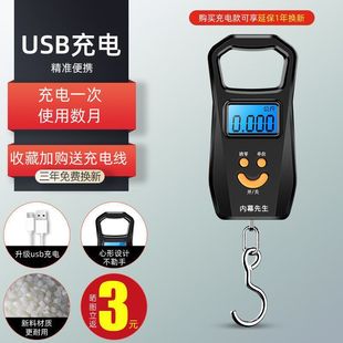 Portable Scale Mini Spring Electronic Scale Household Kitchen Commercial Food Weighing 50kg Portable Express Hook Weighing Small