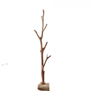 Dry Branch Coat Rack Natural Log Tree Branch Solid Wood Clothes Hanging Rack Floor Dead Wood Storage Rack Clothing Store Decoration