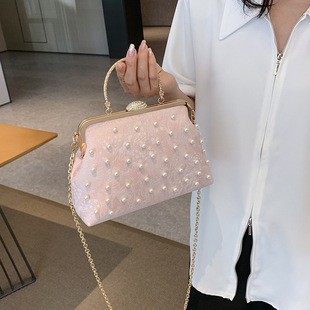 Small bag for women 2023 New Internet celebrity fashion chain shoulder messenger bag texture clip mouth small square bag
