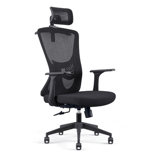 Yu Xiang Computer Chair Office Chair Lifting Swivel Chair Student Learning Home Reclining Ergonomic Comfortable Sedentary