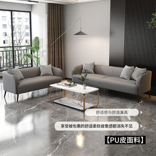 Full-fitting Technology Cloth Cat Scratch Leather Sofa Small Apartment Nordic Two-Three-Seat Living Room Rental Room Clothing Store Internet Celebre