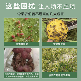 Non-woven grape fruit bag anti-bird worm bag breathable transparent fruit protection special net bag wholesale