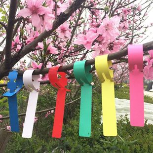 Amazon Cross Border Hot Sale Adjustable Waterproof Nursery Garden Plant Label Plastic Mark Plate Support Customization