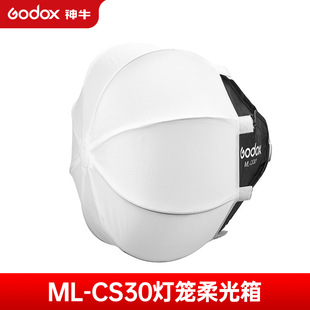 Shenniu ml100bi 60IIBi Заполните свет Фотографические аксессуары Мягкая коробка штатив линза фломак поворотное кольцо