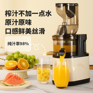 9% Nine Fruits and Vegetables Can be Squeezed Household Juicer Juicer Juicer Juice Pomace Separation