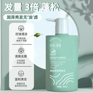 Genuine Ting Lan Feixue Amino Acid Sea Salt Shampoo Lasting Fragrance Anti-dandruff Anti-itching Anti-goosebumps Shampoo