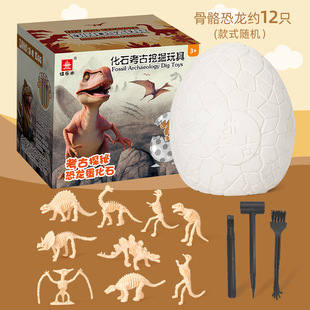 Archaeological Digging Gem Dinosaur Fossils Big small size Assembled Dinosaur Children Digging Archaeological Toys Wholesale Blind Box