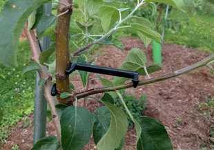 Cross-border new fruit tree branch puller branch Press adjustable branch separator peach tree apple tree common shaping device