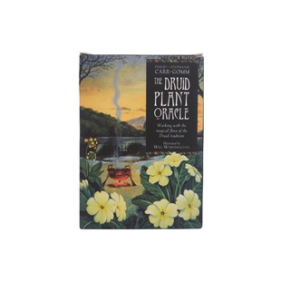 2024 New Druid Plant Oracle cross-border English card