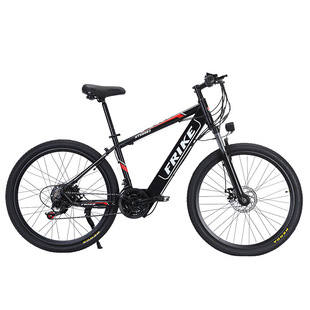 Source manufacturer Florrick Electric Power Mountain Bike Lithium Battery Off-road Variable Speed Electric Bike
