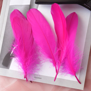 Soft Goose Feather Large diy Sunflower Wall Decoration Dream Catcher Wings Decoration Handmade Material Colorful Cat Funny Stick Feather