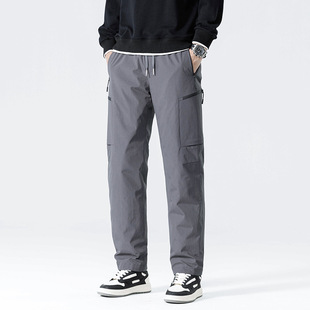Workwear Down Pants Men's 2024 New Winter White Duck Down Water-repellent Cold-resistant Warm Public Casual Pants