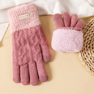 Women's Double-Layer fleece-lined Thickened Gloves Cute Korean-Style Wool Five-Finger Touch Screen Winter Knitted Riding Gloves for Couple