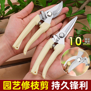 gardening shears pruning shears flower shears garden shears flower shears branches fruit tree scissors branch shears pruning flower shears