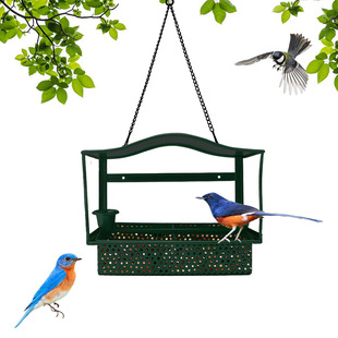 Cross-border Amazon iron anti-squirrel wall hummingbird feeder bird feeder source factory wholesale