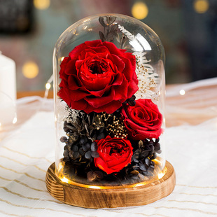 Tanabata Valentine's Day Eternal Flower Glass Cover Ornaments Wholesale Girlfriend Birthday Gift Living Room Decoration