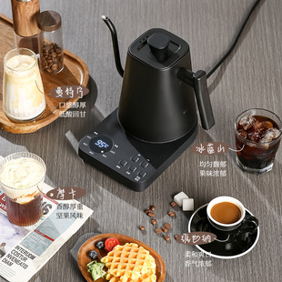 Cross-border Thermostatic Hand-held Pot Temperature-controlled Electric Kettle Ear-hanging Coffee Pot Long Mouth Electric Kettle Tea Pot