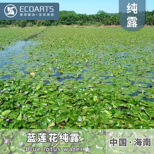 Blue Lotus pure Dew Chinese origin flower distillation extract flower water pure Dew essential oil aromatherapy skin care raw materials wholesale