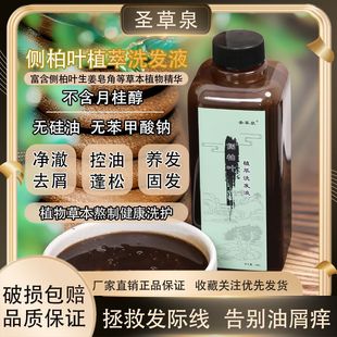 Platycladi Ginger Silicone-free Shampoo Dandruff-removing and Antipruritic Lasting Oil-controlling Hair-nourishing and Hair-fixing Natural Shampoo Other
