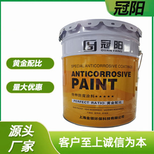 Factory direct batch of epoxy red Dan anti-rust primer outdoor steel structure epoxy anti-rust primer epoxy anti-corrosion primer