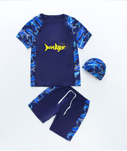 Children's Swimwear New Boys' Summer Sun-proof Quick-drying Swimsuit Big Kids Baby Split Cartoon Swimsuit