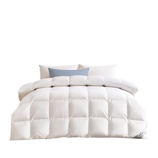 Down quilt factory direct white down quilt padded warm winter bedding five-star hotel quilt core