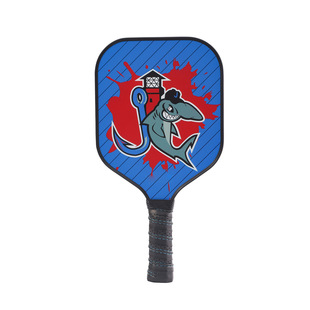 Children's Peak racket glass fiber parent-child pickleball beginner entry source factory cross-border hot sale