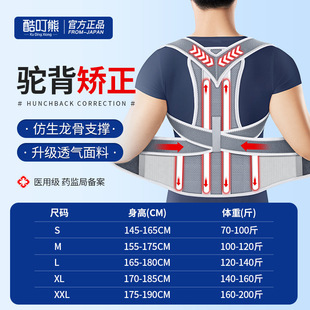 Column scoliosis dorsal spine humpback correction men's Japanese Bebejia orthotic belt women's adult open shoulder
