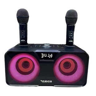 Hongxing * SD217 Bluetooth Speaker Rhythm Light Effect Wireless Bluetooth Microphone Sound Card Portable Mobile Phone K Song Outdoor *
