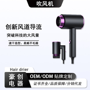 Rotary Folding Household Hair Dryer Student Dormitory Blue Light Hot and Cold Air High Power Quick-drying Portable Hair Dryer Gift