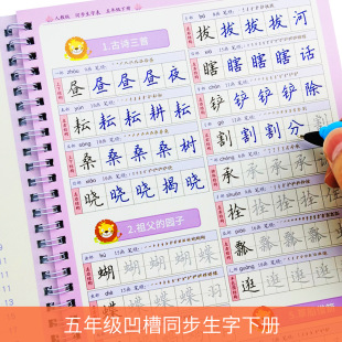 The Ministry compiles the People's Education Edition for primary school students in the 5th and 5th grades, the upper and lower volumes of Chinese textbooks, synchronous new characters, groove practice copybook, block letters
