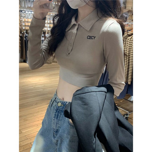 Spice Girls Pure Desire Style POLO Shirt Lapel Embroidered Long-sleeved T-shirt Women's Spring and Autumn New Slim-fit Slimming Umbilical Top Trendy
