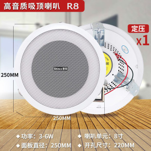 Xinke coaxial ceiling wall hanging ball horn outdoor waterproof sound column speaker constant pressure power amplifier broadcast background music