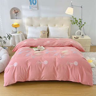 Factory wholesale autumn and winter cotton sanding thickened warm single quilt cover quilt cover double household bedding