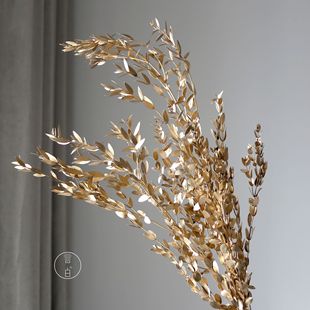 Gold and silver color dried flower eucalyptus fruit millet fruit zombie fruit Air fruit Acacia beans yuanxiao flower material