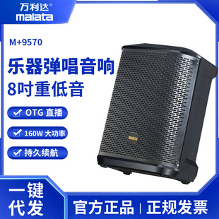 Marida M 9570 открытый портативный большой объем роуд-шоу звук саксофон гитары для игры на музыкальных инструментах динамик