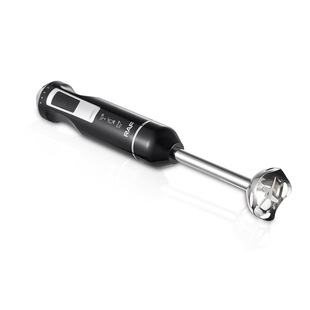 RAF European gauge cross-border portable household kitchen mixer handheld electric stainless steel cooking stick mixer