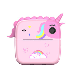 New type of PALOID printing camera student cheap high-definition double-camera cartoon children's camera can take pictures wholesale