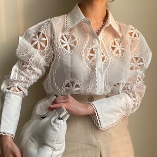 South Korea Dongdaemun spring elegant lapel hollow mesh pattern design single-breasted loose puff sleeve shirt for women