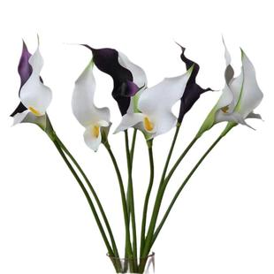 Artificial flower calla lotus taro soft model room floral business floral photography props bridal bouquet