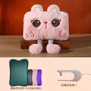 National standard hot water bag water injection plush charging warm water bag plug-in explosion-proof warm baby water filling electric hand warmer with gift box
