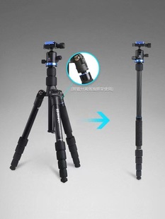 Benro if19 штатив для зеркальной камеры, беззеркальная фотокамера, портативный штатив для мобильного телефона, подставка для селфи