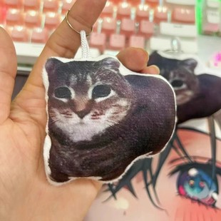 Сетка красная кошка вращающаяся подушка для кошки oiiai кошка встроенная музыкальная шкатулка для дома офис смешная подвеска подушки