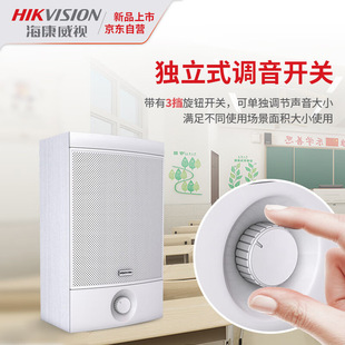 Hikvision wall-mounted audio Bluetooth wall-mounted conference room speaker training combination suit background music Public wide