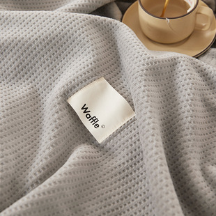 Cross-Border special for 2023 new waffle velvet blanket plain solid color milk velvet blanket is not easy to static AB version