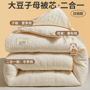 Class A maternal and infant grade soybean fiber quilt two-in-one quilt thickened warm dormitory autumn and winter quilt core quilt h