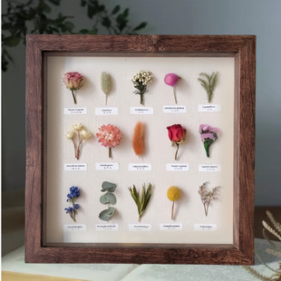 Wooden Glass Hollow Photo Frame Butterfly Insect Specimen Frame DIY Hand Mounted Self-Mounted 8-inch Display Frame