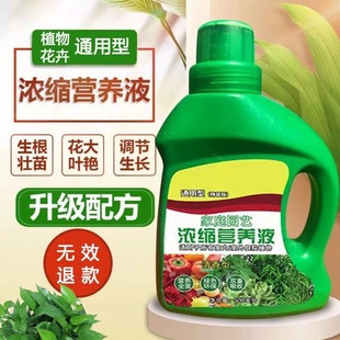 Super Concentrated Plant Nutrient Solution Flower Fertilizer Universal Fertilizer Home Green Plant Potted Plant Green Rose Leaf Yellow Universal Bamboo